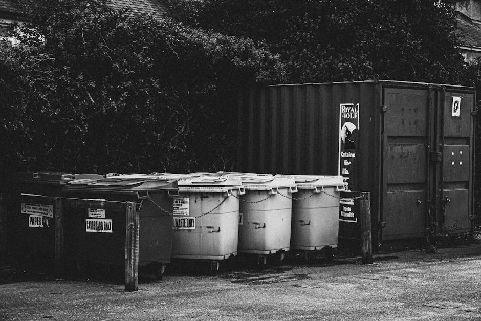 A row of four large white wheelie bins with closed lids, positioned on a paved pavement area next to a black metal barrier with signage indicating waste types such as paper, cardboard, and general waste. Behind the bins, a large dark metal shipping container with doors closed and secured with handles is visible. The scene is outdoors, with dense foliage or trees in the background and a building roof partially visible in the upper right corner. The lighting suggests daytime, and the setting appears to be part of an urban waste collection or removal area close to a residential or commercial property, which could be relevant to home relocation and furniture transport services provided by Man with Van Notting Hill.
